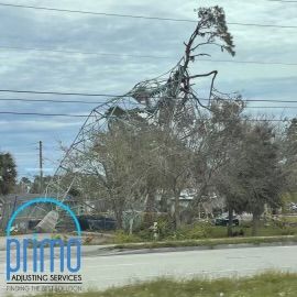 A tree is fallen on top of a power line.