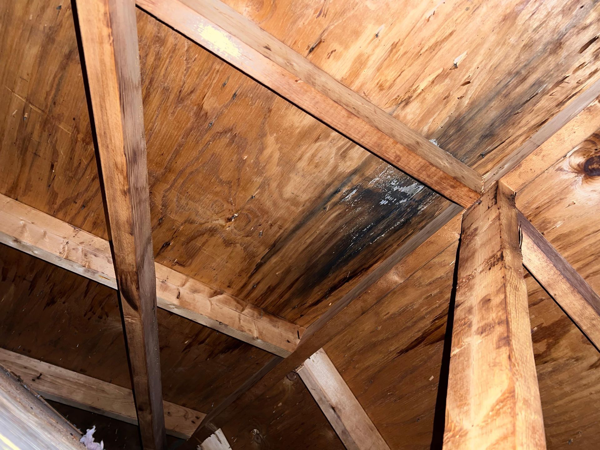A close up of a wooden ceiling with a lot of wooden beams.