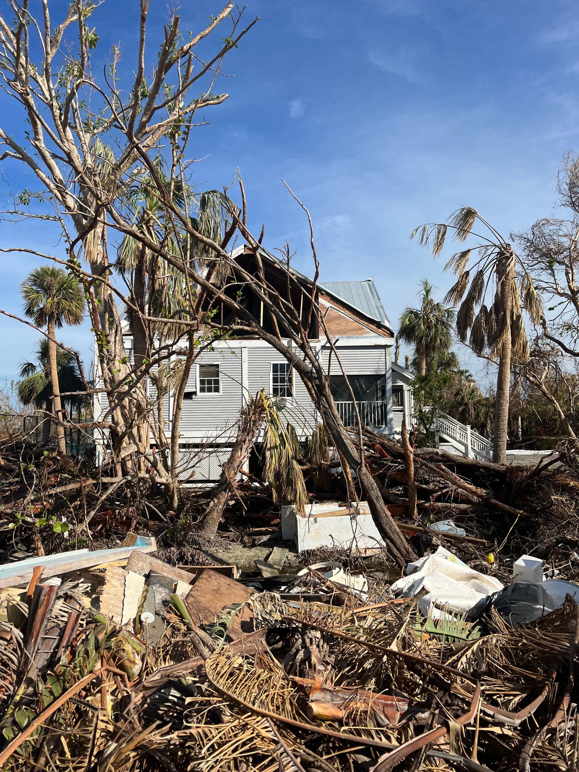 Trees damage of house front