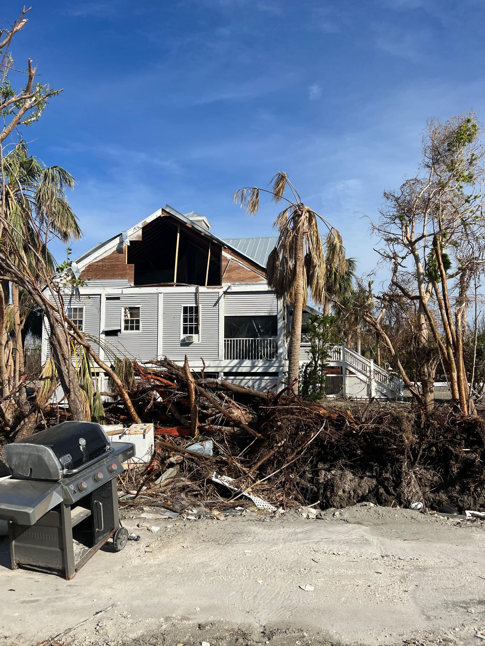 house front a big trees.