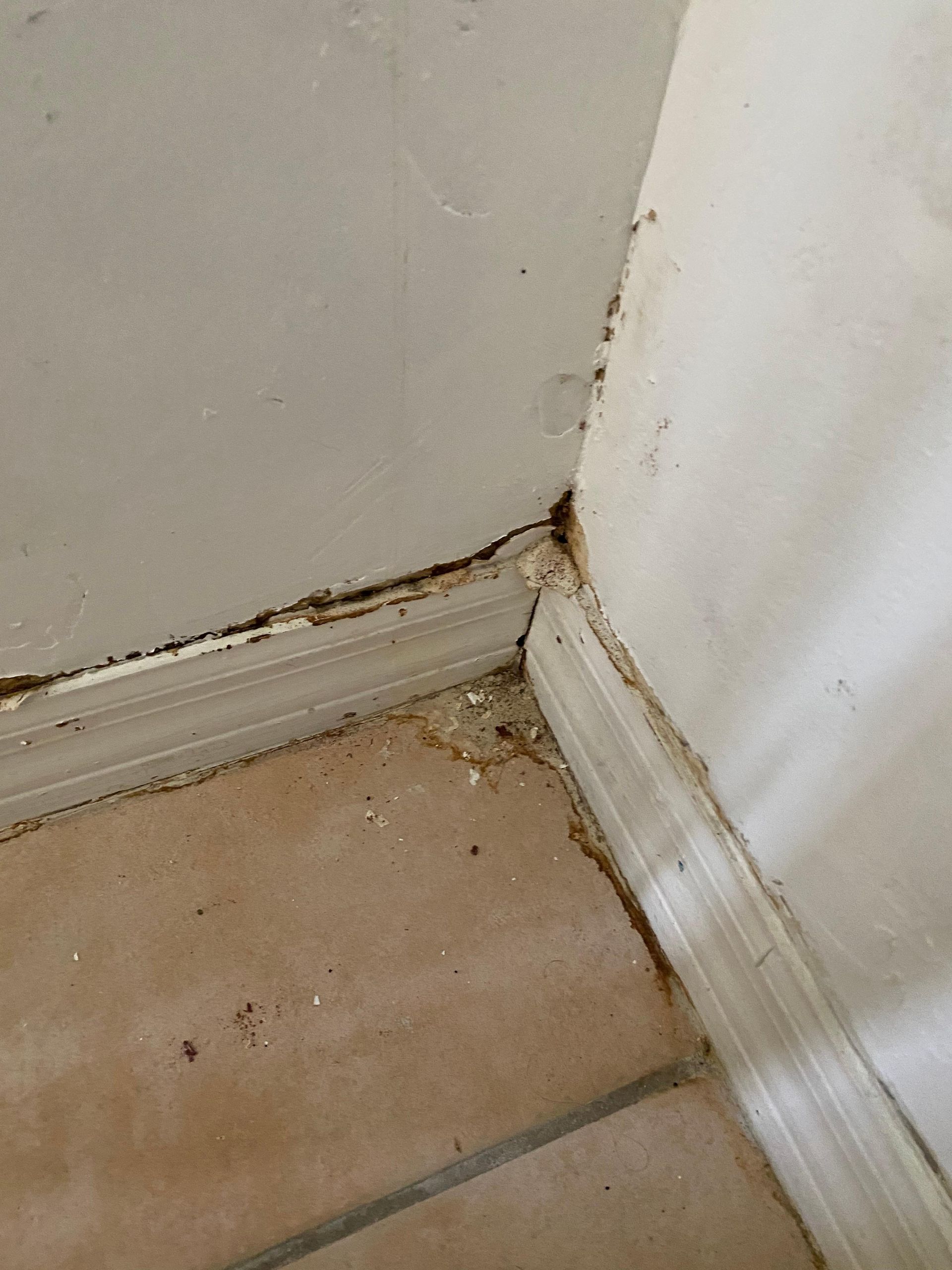 A corner of a room with a tile floor and a white wall.