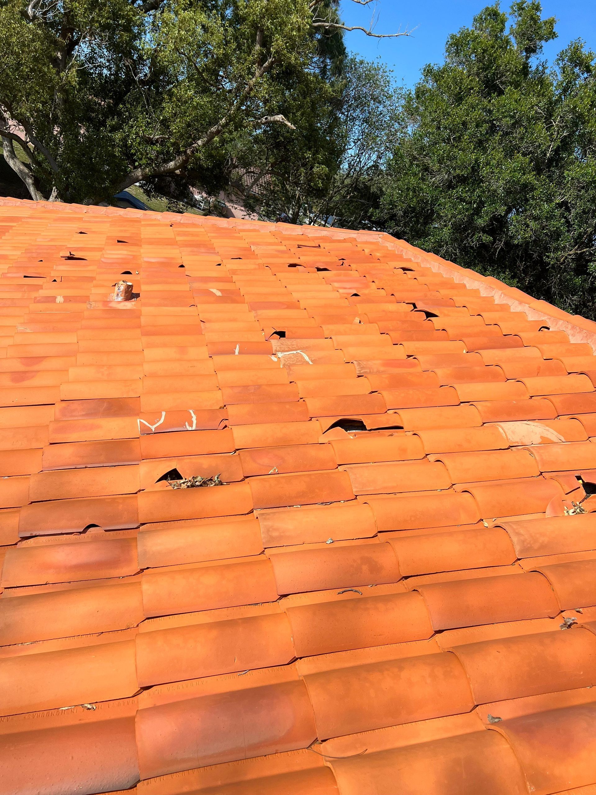 A close up of a tiled roof with trees in the background.