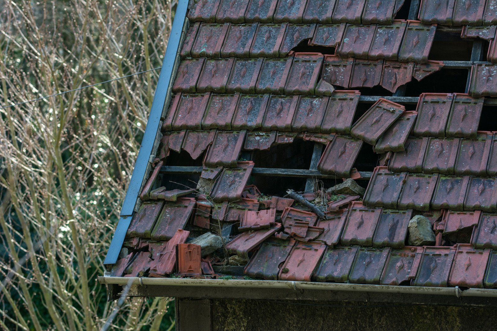 A close up of a roof with broken tiles and a tree in the background.