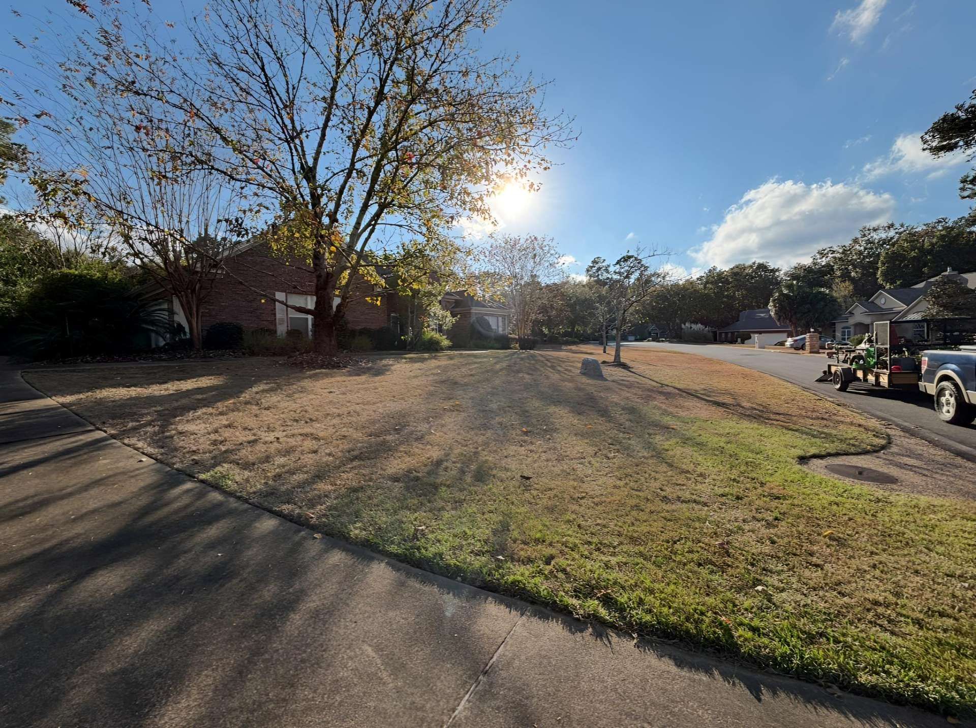A sunlit suburban front yard with dry grass and a large tree, with a truck parked on the street in the background.