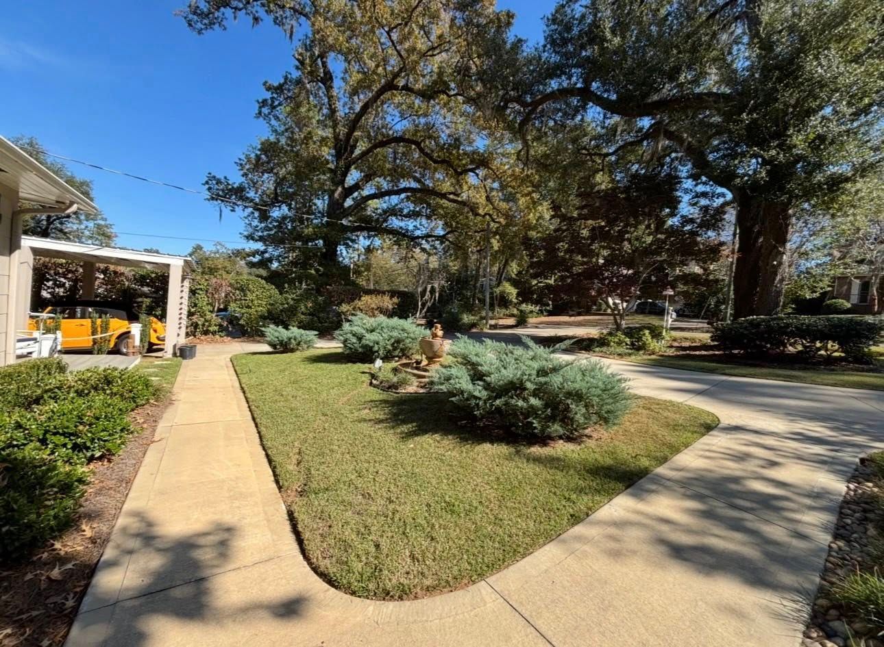 A paved path leads past a lawn with evergreen shrubs toward a patio under a large oak tree on a sunny day.