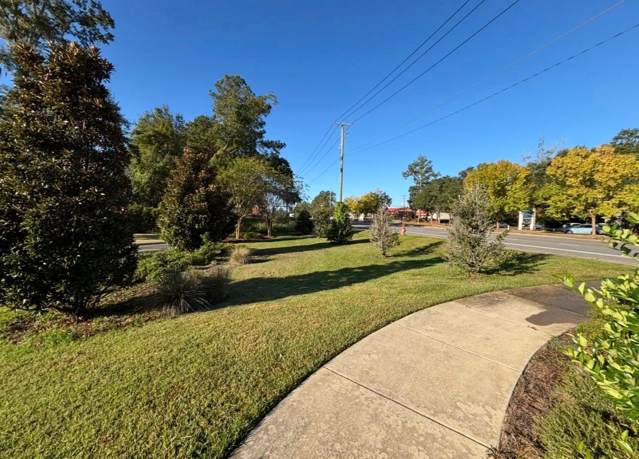 A sidewalk curves through a grassy park area with scattered trees under a clear blue sky.