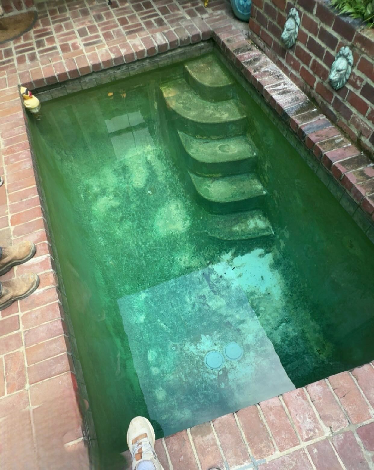 Green, algae-filled, rectangular pool with brick surround and steps, viewed from above. Near the pool, are brick walls and a pair of feet.