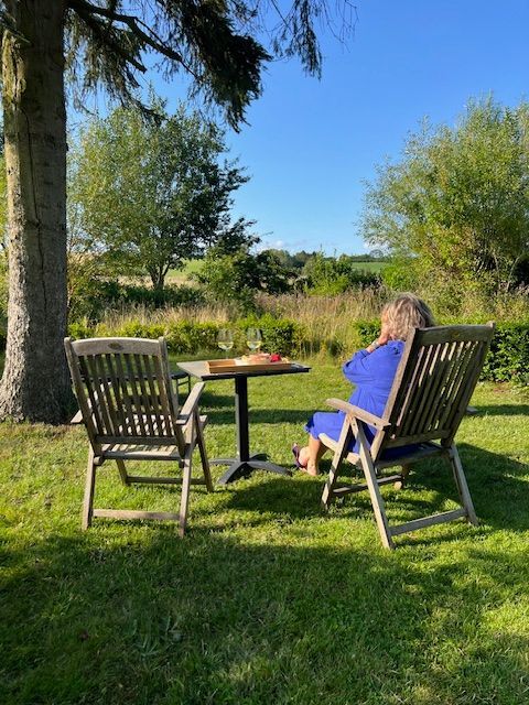 A woman in a blue dress is sitting in a chair in the grass.