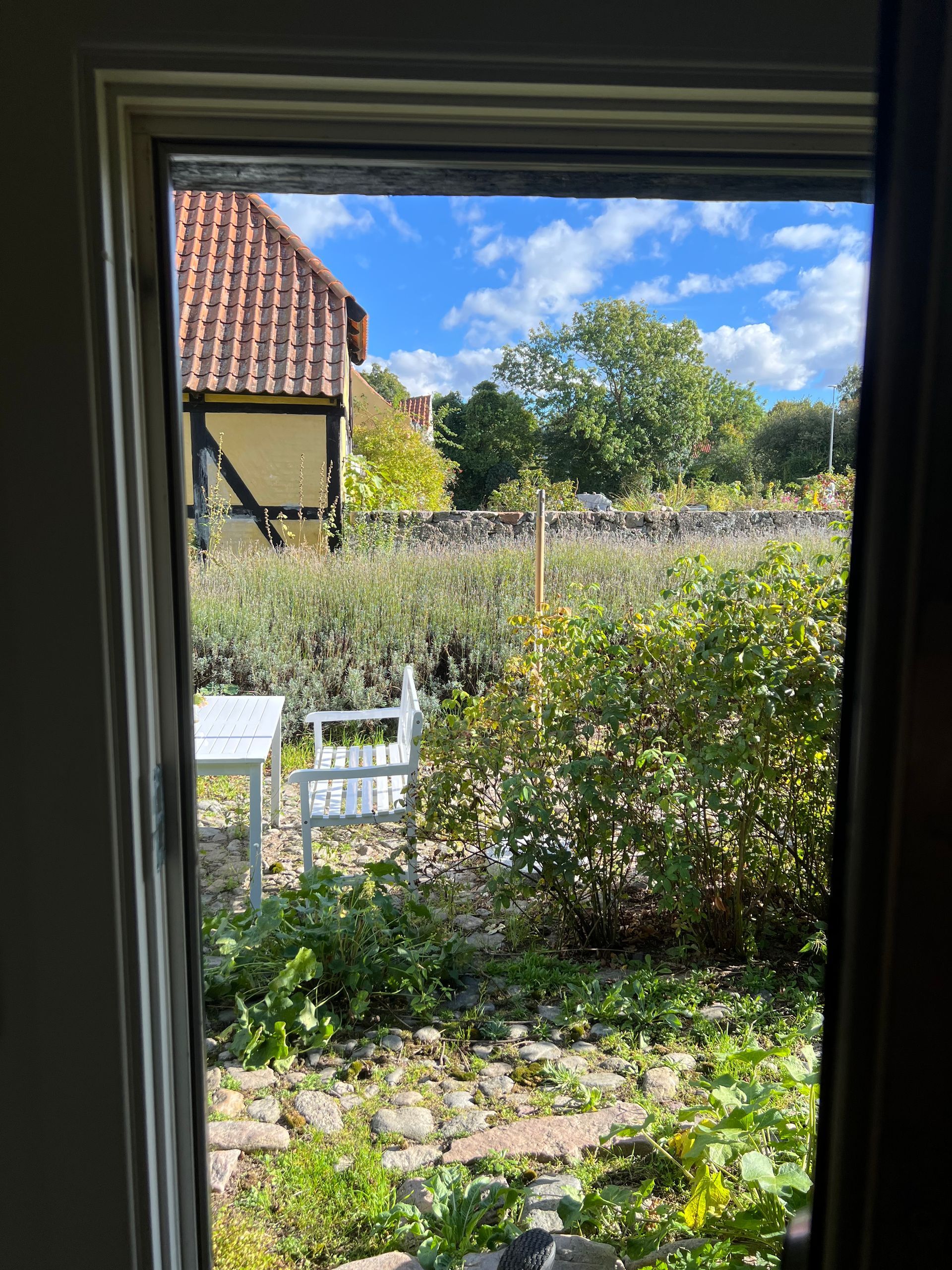 There is a view of a garden through a window.