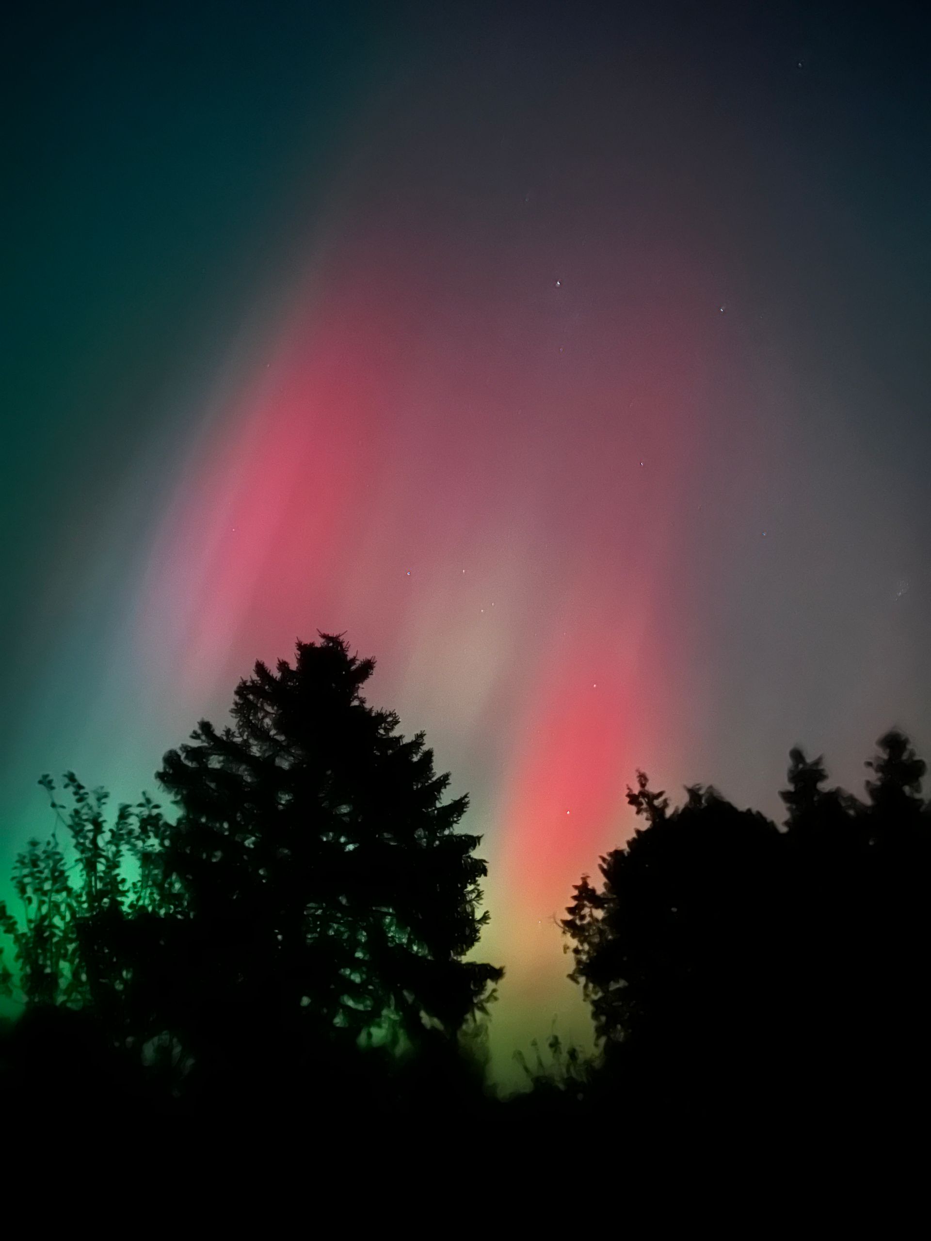 The aurora borealis is visible in the night sky above the trees