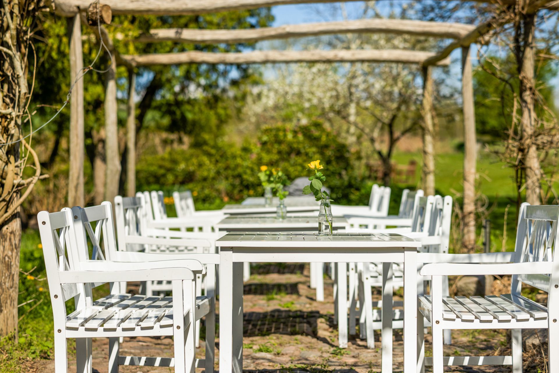 A table and chairs under a pergola in a garden.