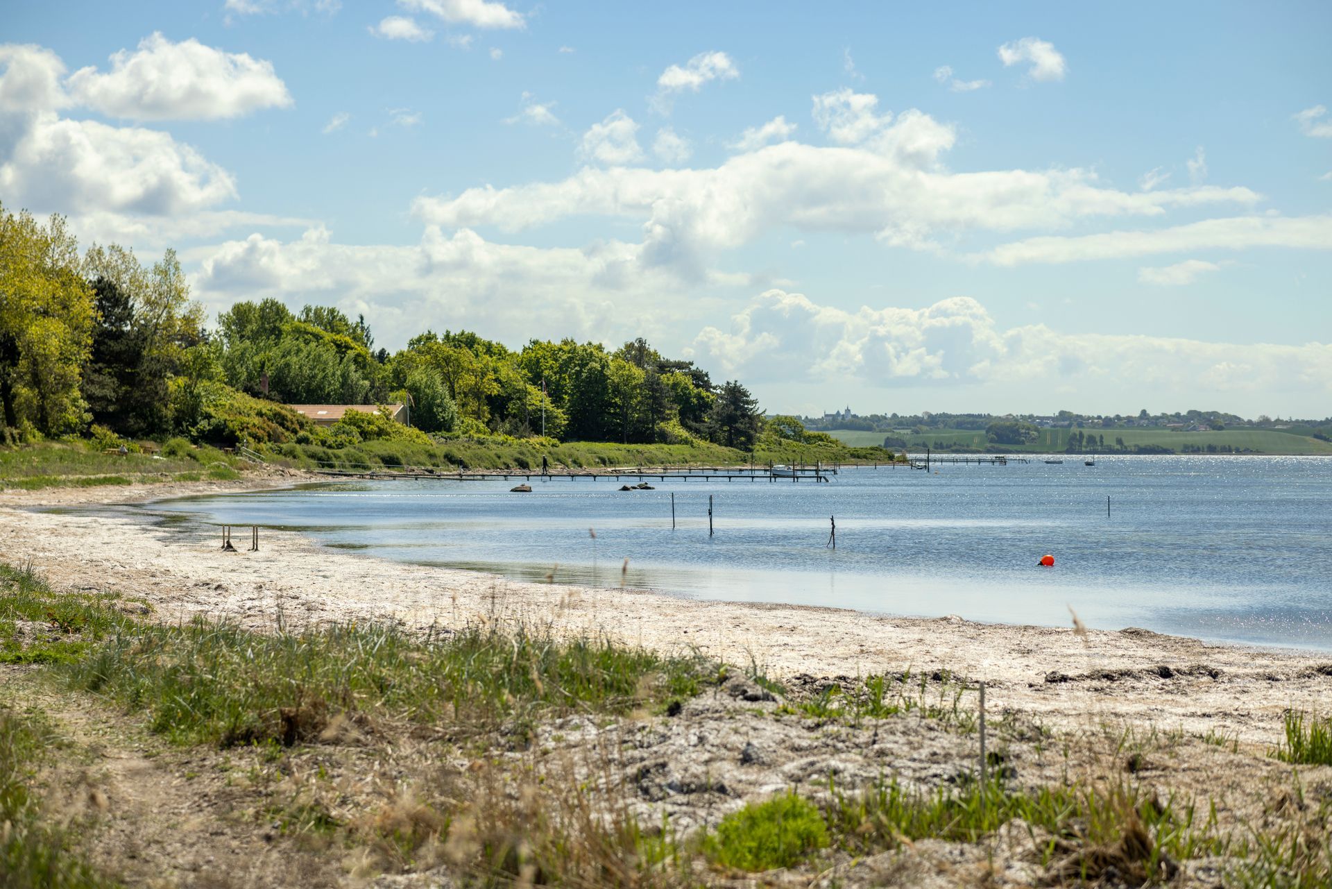 A beach with a body of water and trees in the background on a sunny day.