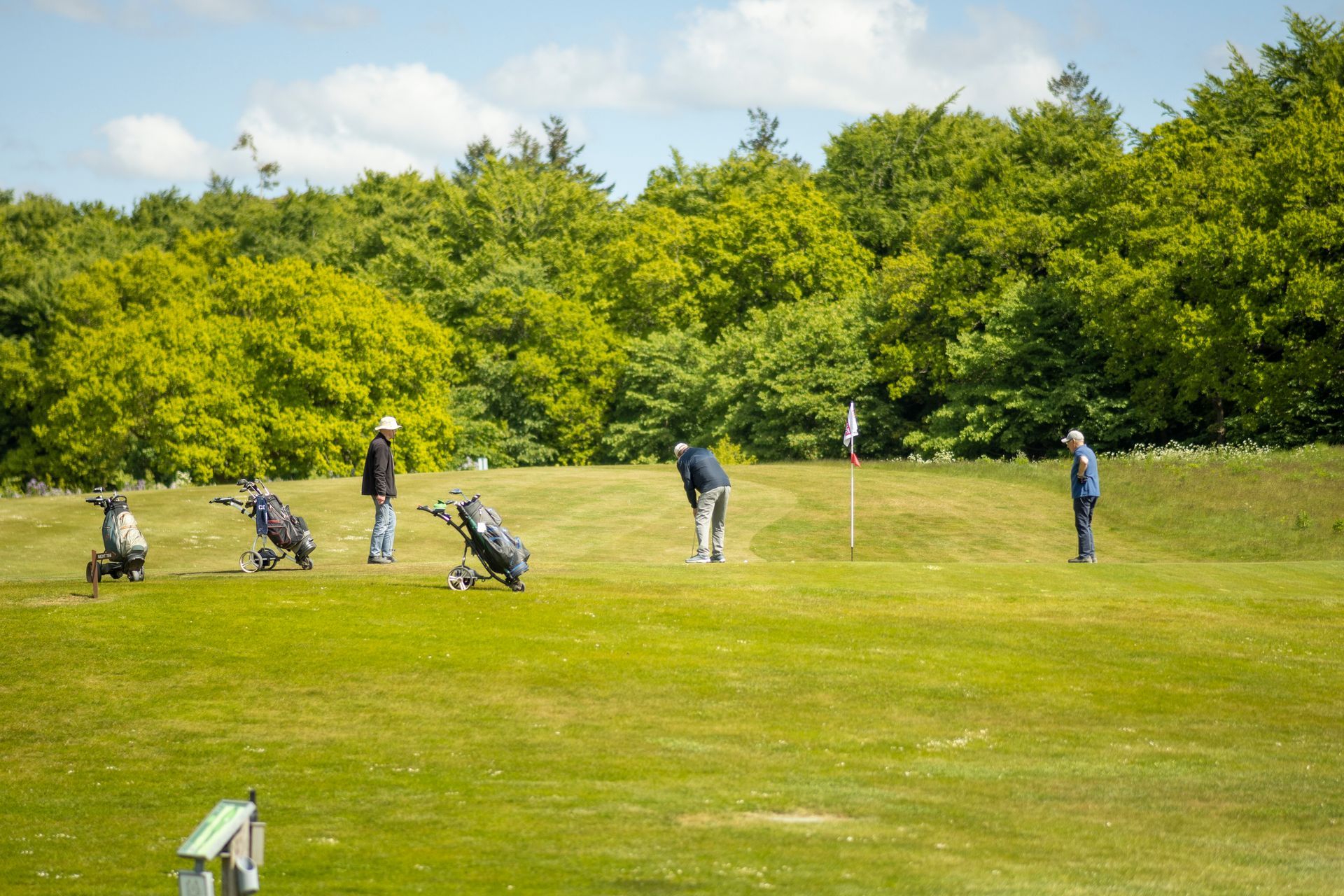 A group of people are playing golf on a lush green field.