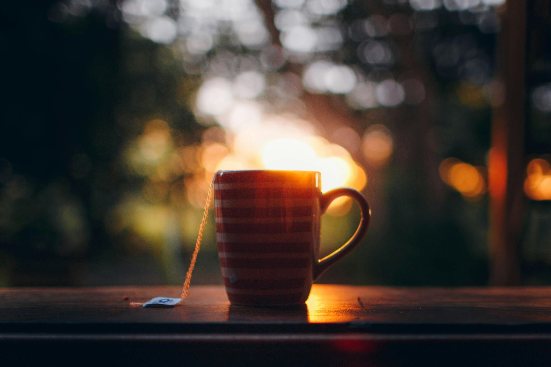 Warm cup of tea in Solbjerggaard’s heated greenhouse – intimate off-season comfort. Varm kop te i Solbjerggaards opvarmede drivhus – intim komfort uden for sæsonen.