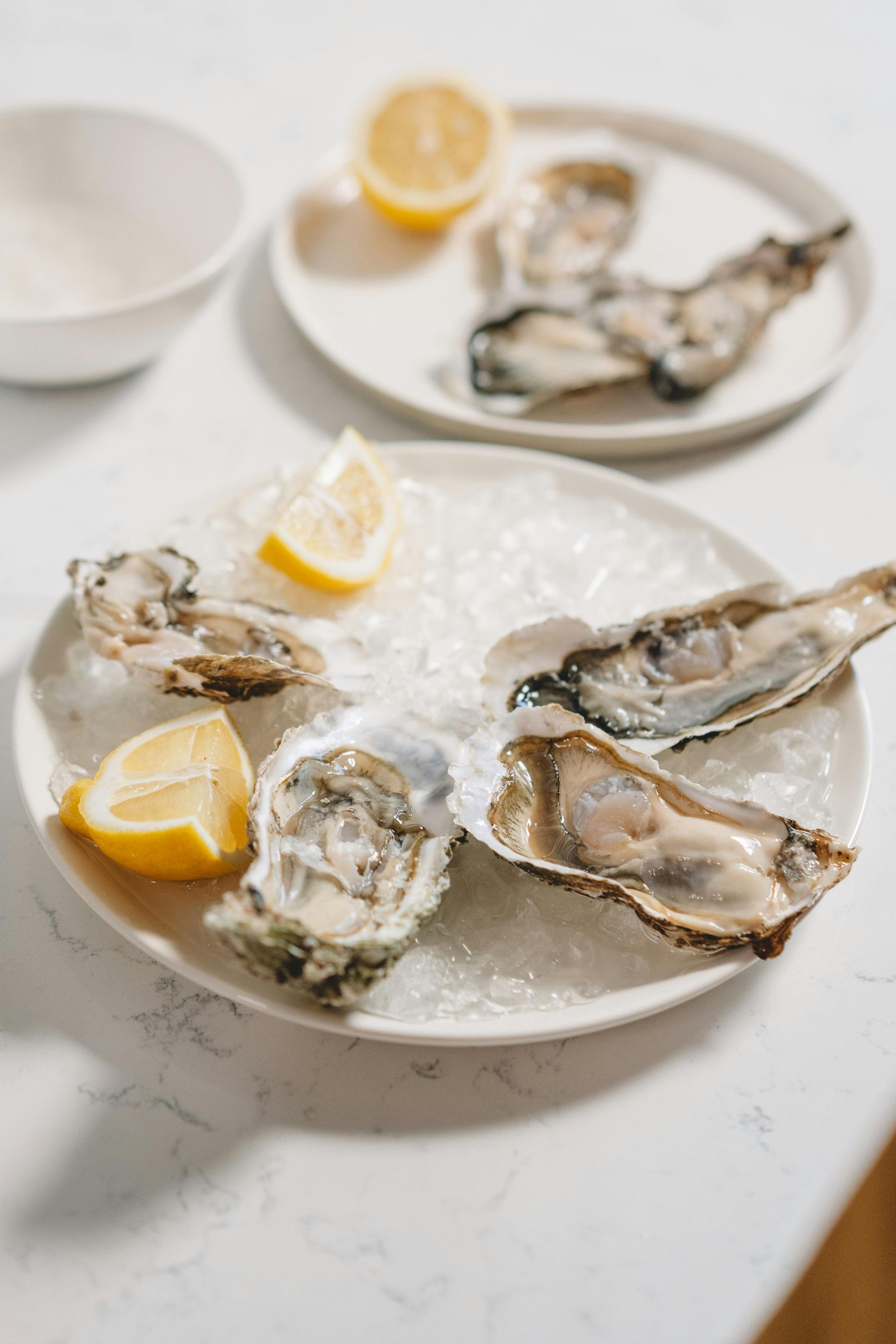 Artfully arranged oysters on crushed ice with lemon wedges, showcasing a fresh seafood starter