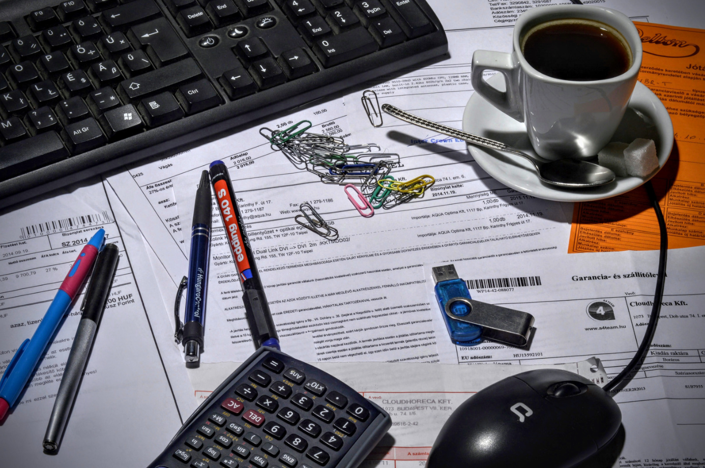 Efficient accounting through technology integration for seamless data management.