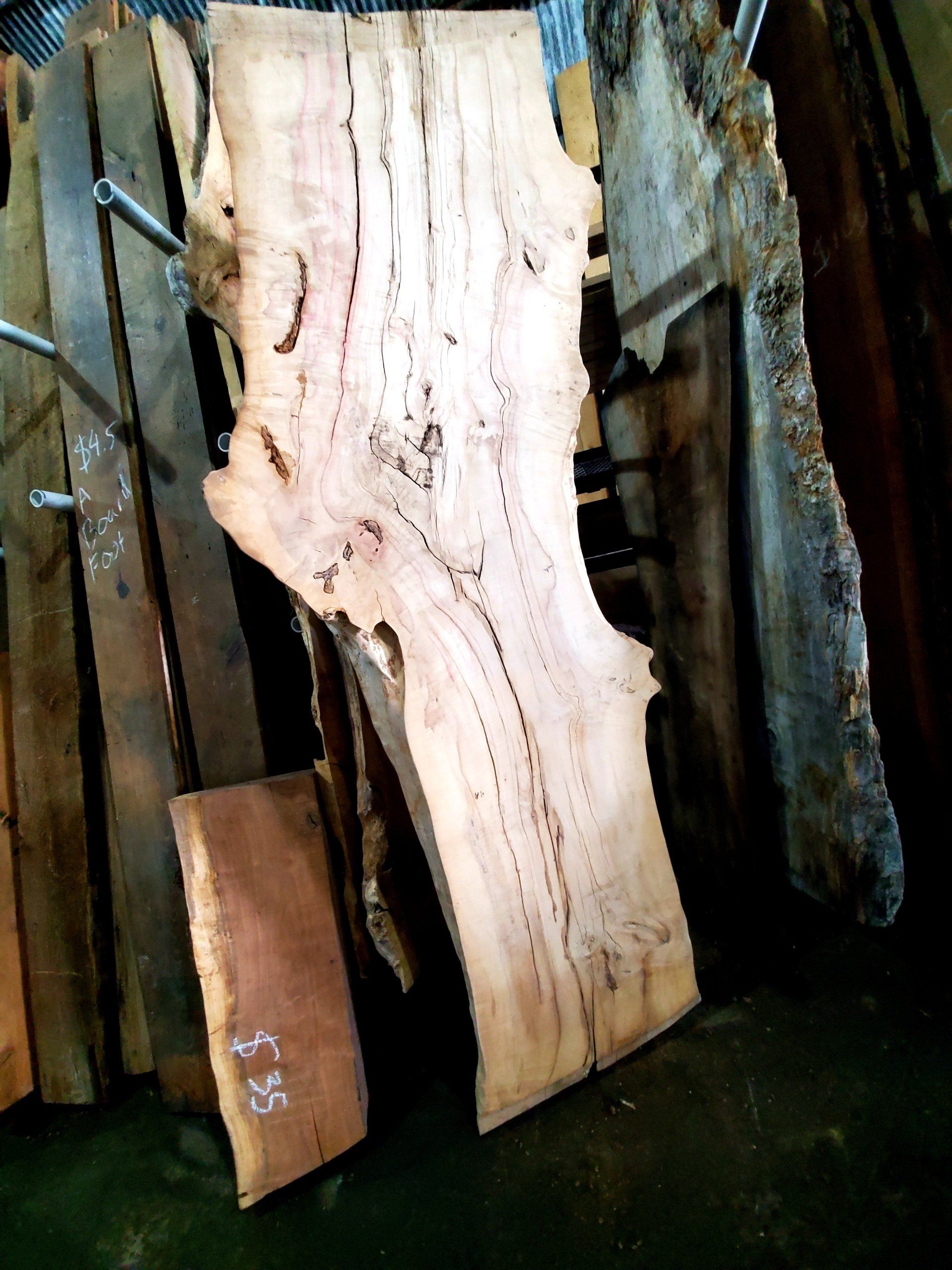 Box Elder
