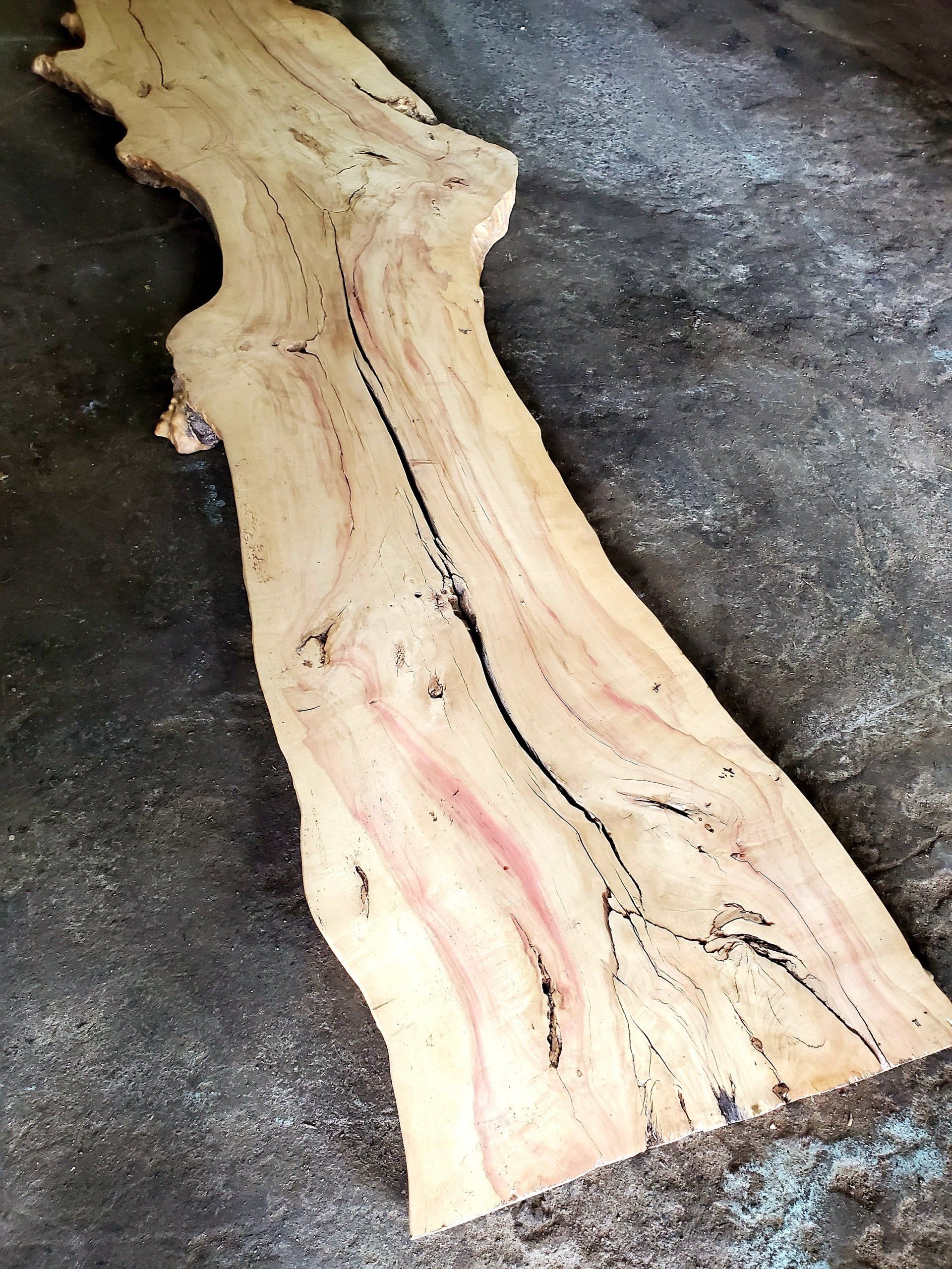Box Elder