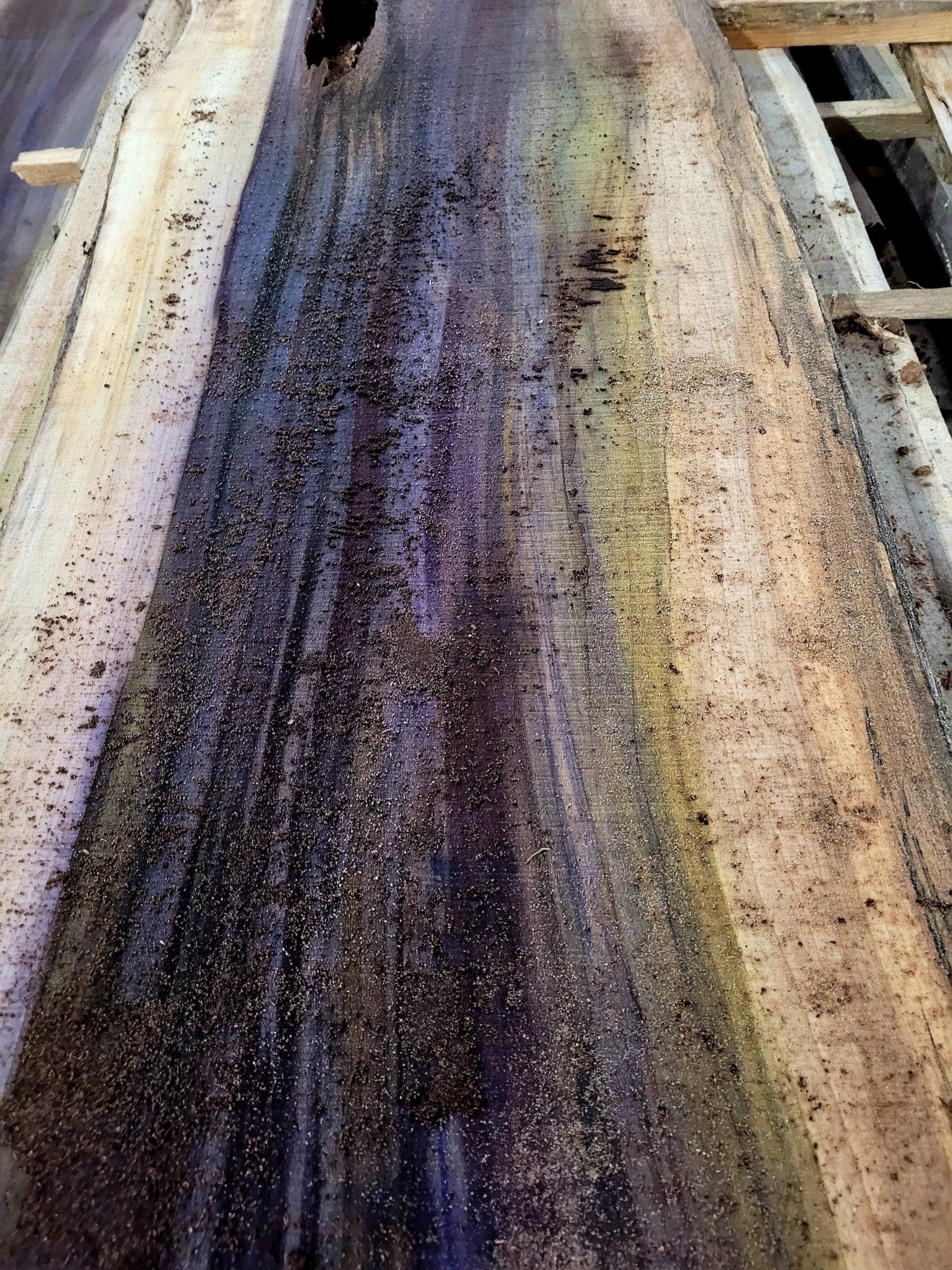 Rainbow Poplar Live Edge Slabs | Rustic Roots Reclaimed Monroe, GA