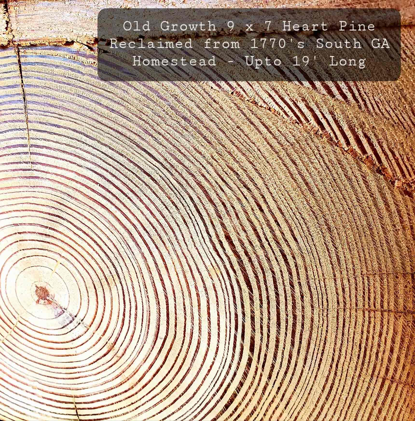 Side Cut of a 240 Year Old Southern Hand Hewn Old Growth Heart Pine Beam