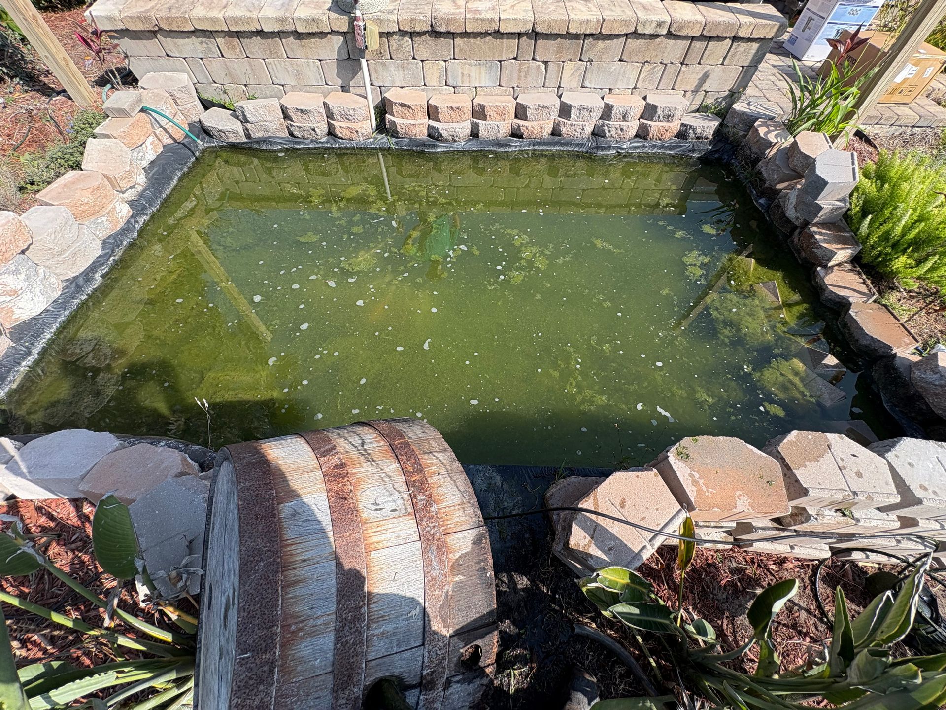 A small pond surrounded by rocks and plants in a garden.