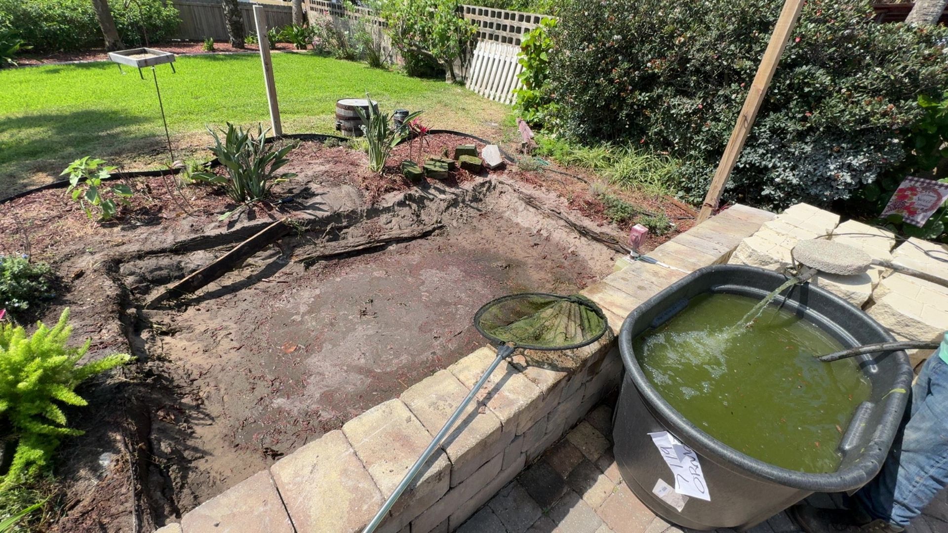 A person is cleaning a pond with a hose and a bucket of water.