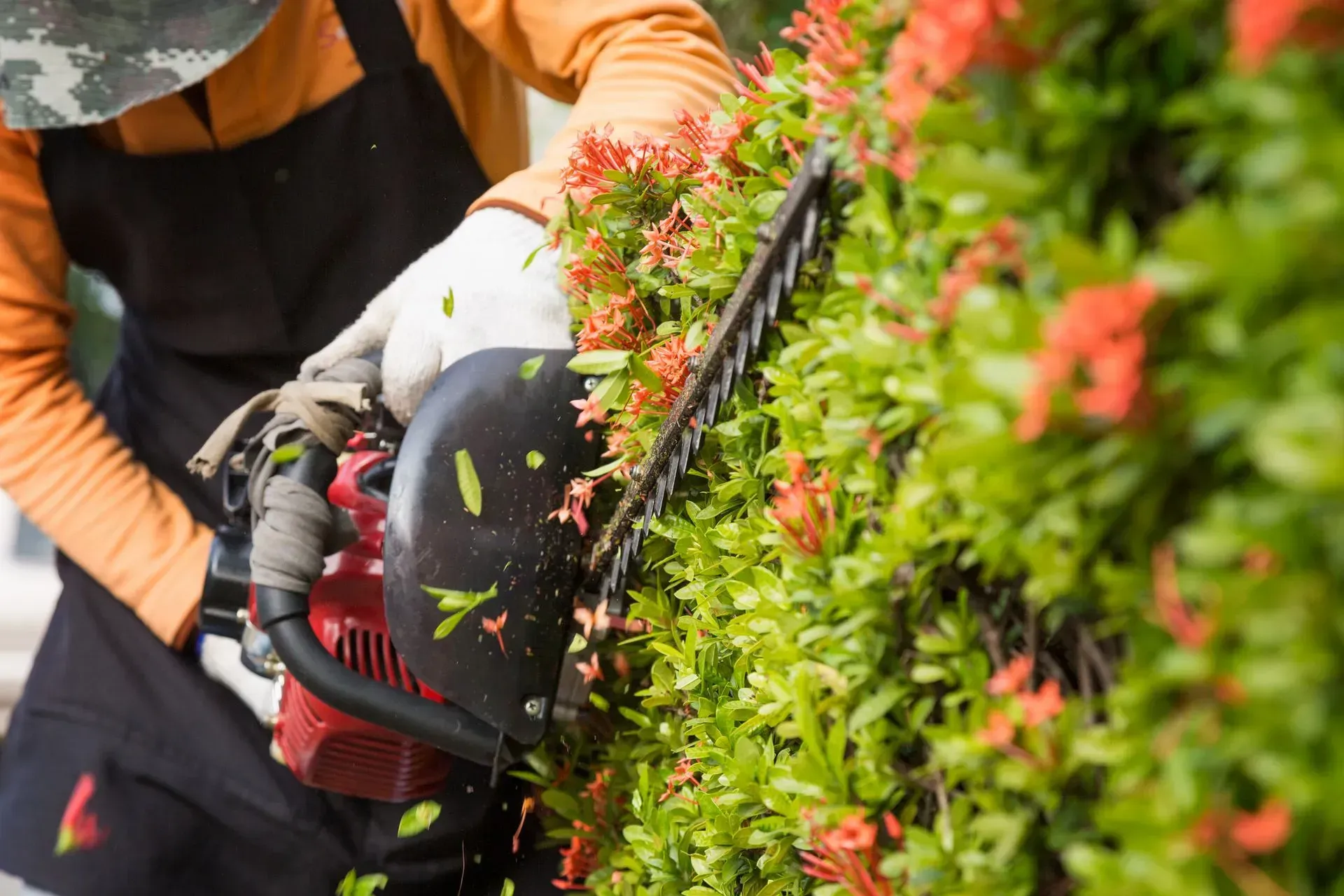 a man is cutting a hedge with a chainsaw