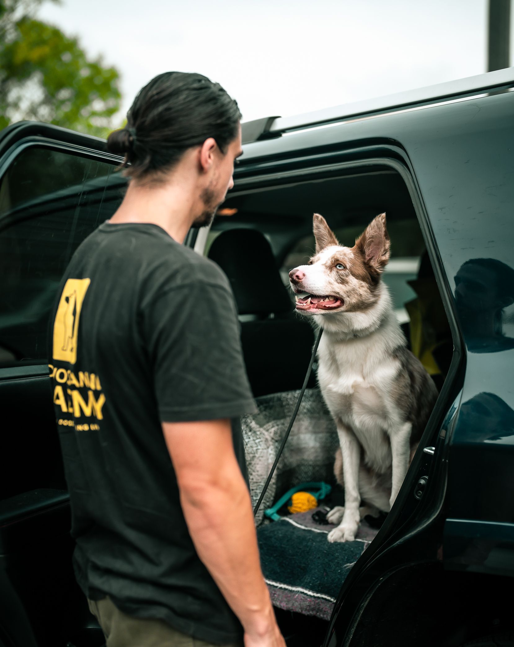 happy dog sitting in car