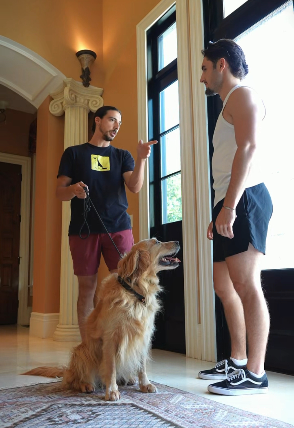 In-home dog training Boulder CO
