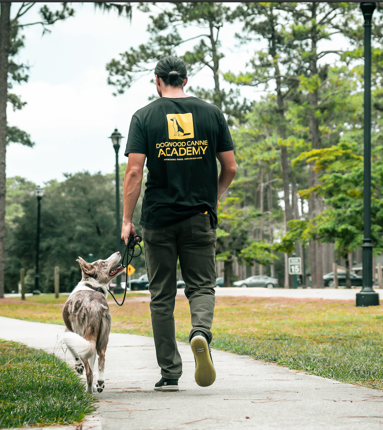 Dog Loose Leash Walking