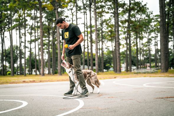 Dog training Boulder CO
