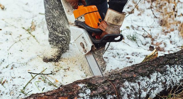 Chainsaw cutting a fallen log in snowy woods, with orange safety gear visible