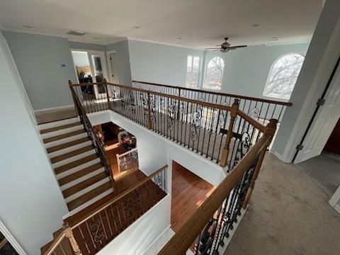 New paint upstairs of house