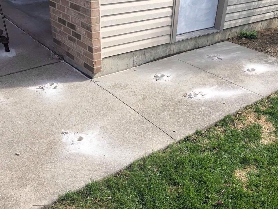 Before Fixing the Side Garage Sidewalk — Rockford, IL — Northern Illinois Concrete Lifting