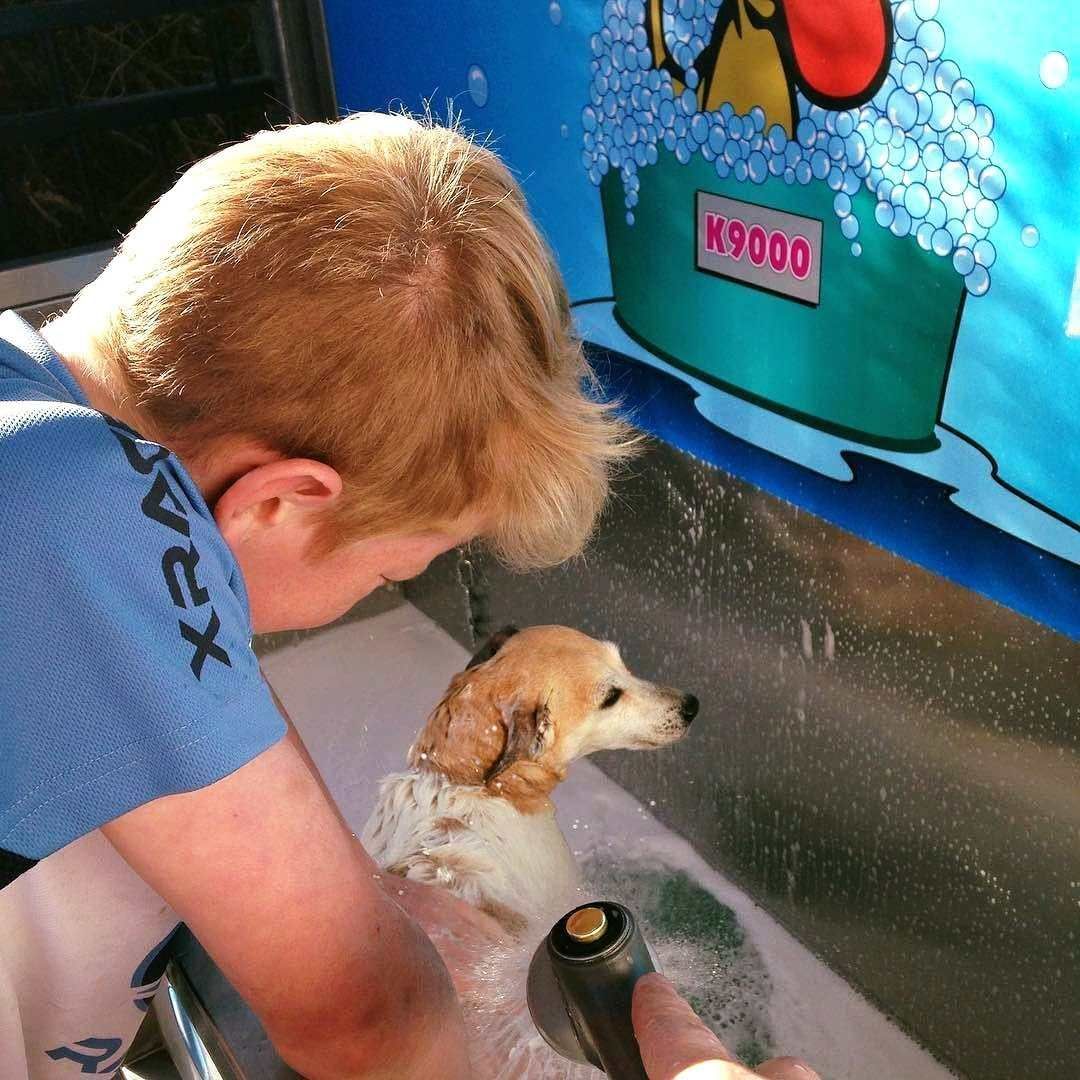 A Man Washing A Dog — Carwash 44 In Caboolture, QLD