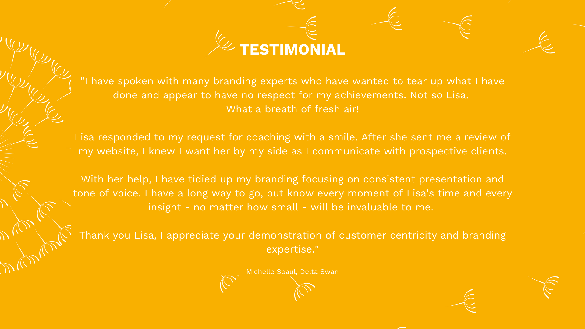 Testimonial/review from a very happy client who Liontooth worked with to improve website content, flow and branding.