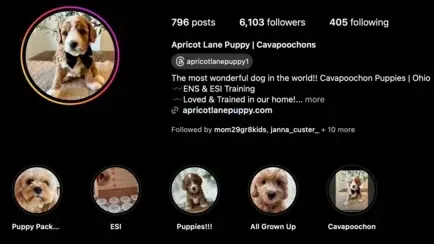 Apricot Lane Social Media