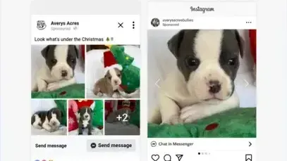 Avery's Acres Meta Ads