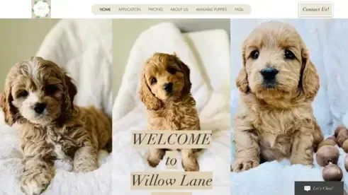 Willow Lane Website
