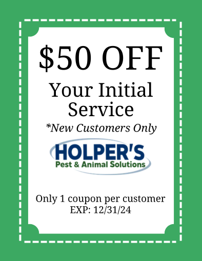 holper's pest coupon