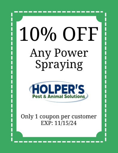 holper's pest coupon