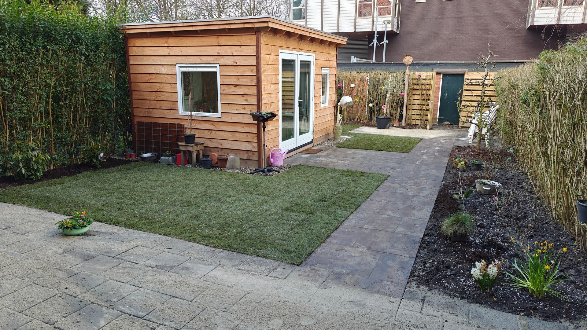 Een achtertuin met een houten schuur, een klein gazon, een bestraat pad en struiken.