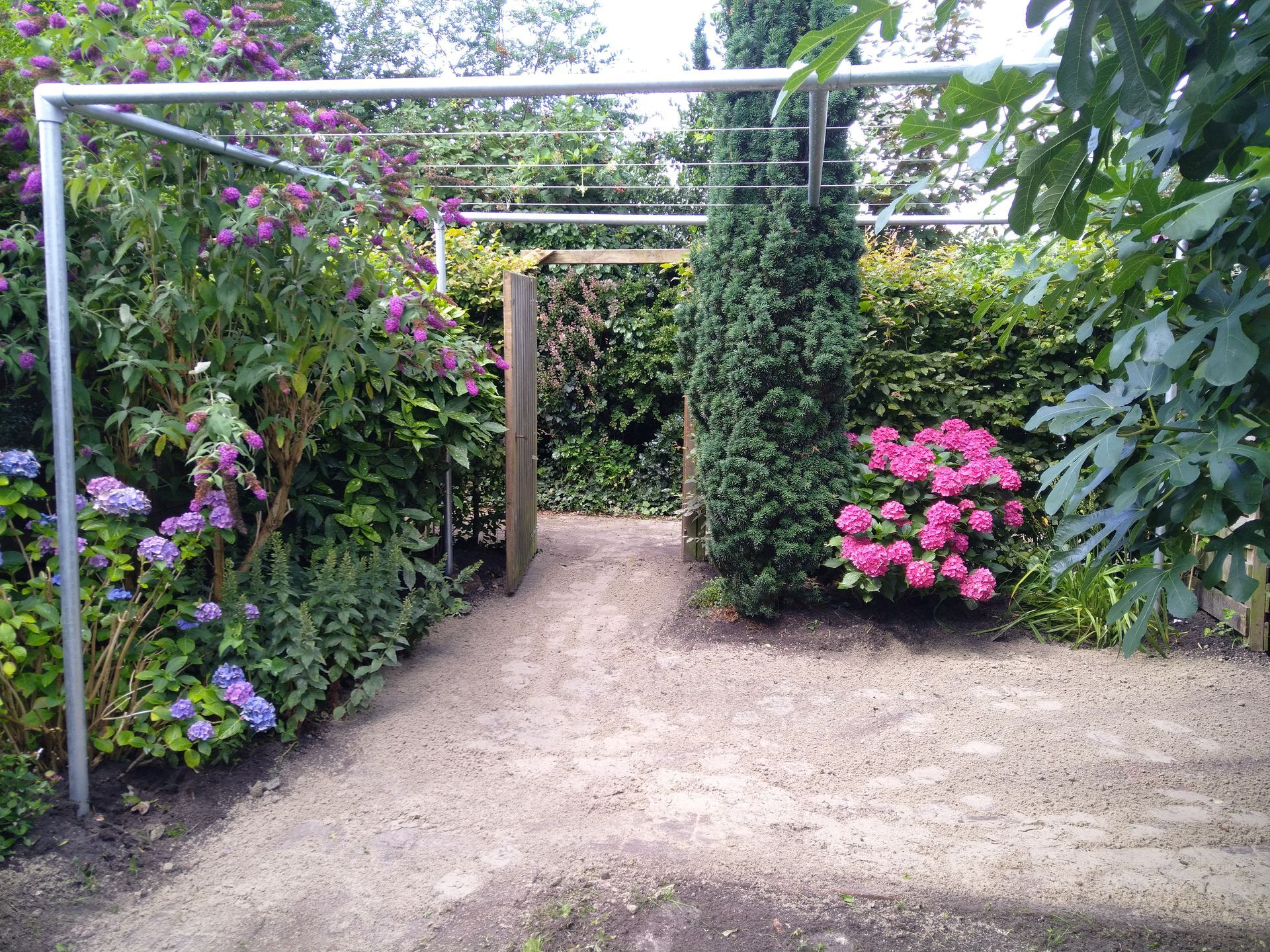 Een grindpad leidt door een tuin met een metalen pergola en kleurrijke bloeiende planten.