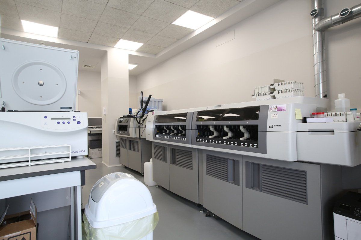 laboratorio analisi Alhena Pescara 11