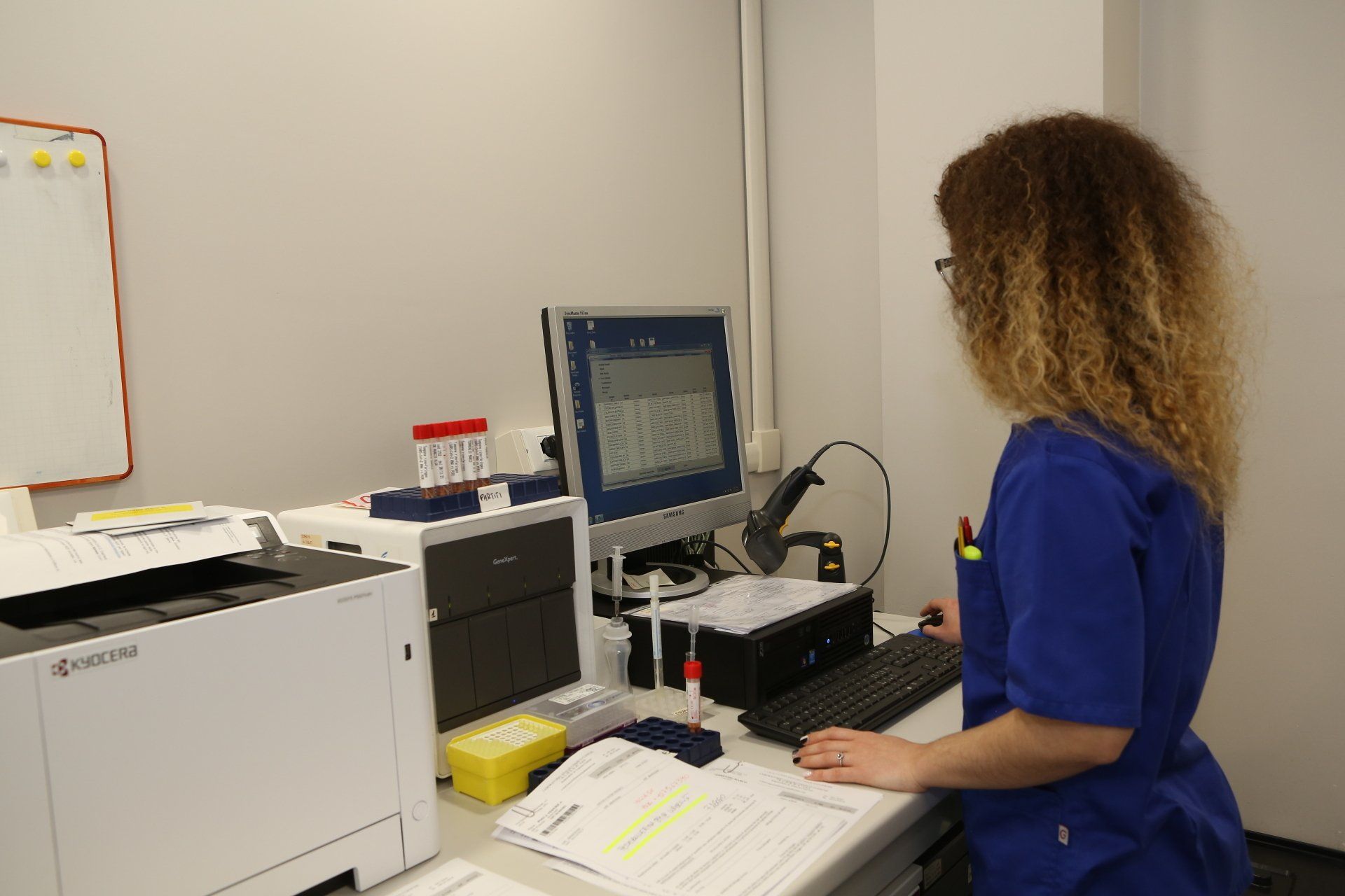 Amplificazione genica per la ricerca, in vari materiali biologici