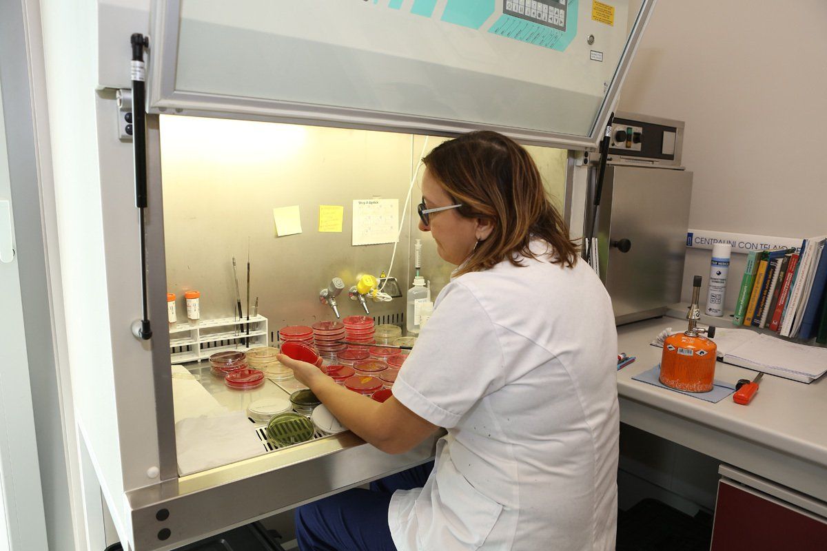 analisi di laboratorio