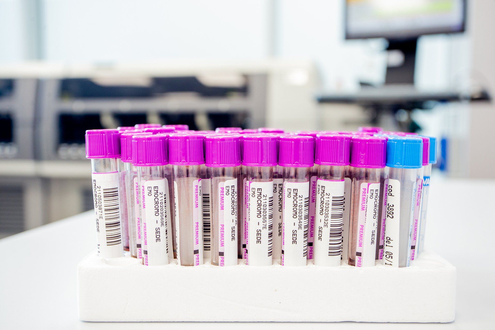 filiale cappelle sul tavo 19