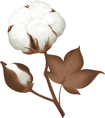 Une aquarelle de fleurs et de feuilles sur fond blanc.