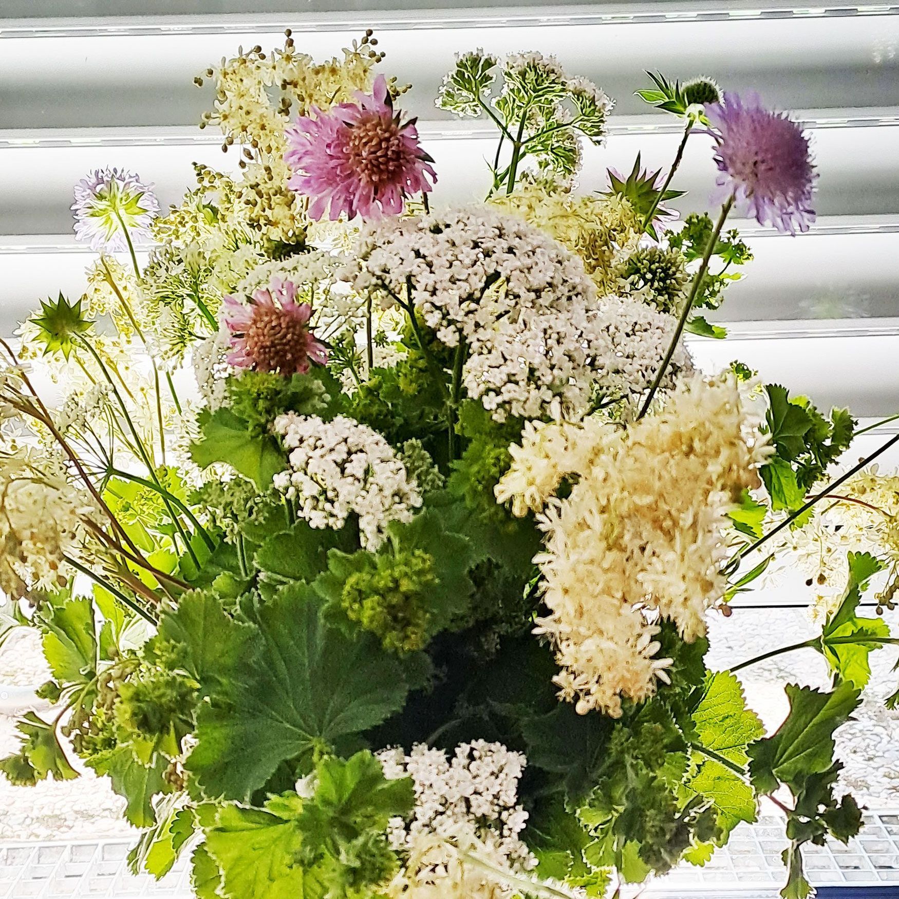 Naturstrauß mit Frauenmantel