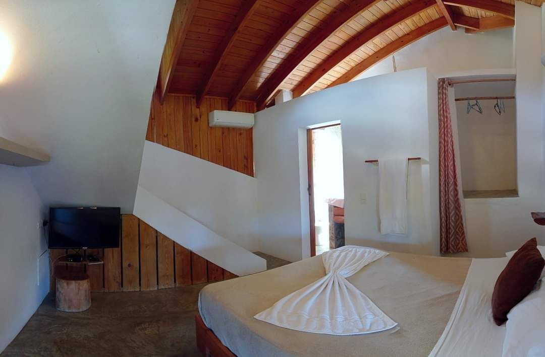 Bedroom with slanted wood ceiling, bed, TV, and open doorway to bathroom.
